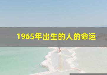 1965年出生的人的命运