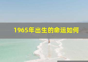 1965年出生的命运如何