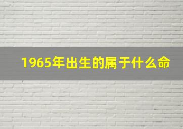 1965年出生的属于什么命