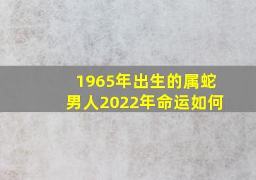 1965年出生的属蛇男人2022年命运如何