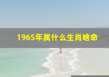 1965年属什么生肖啥命