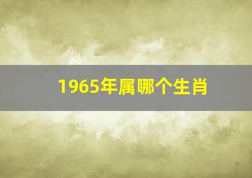 1965年属哪个生肖