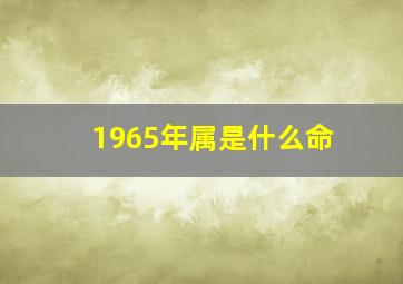 1965年属是什么命