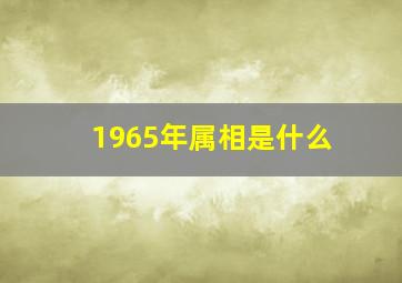 1965年属相是什么