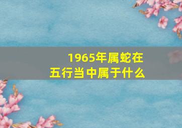 1965年属蛇在五行当中属于什么