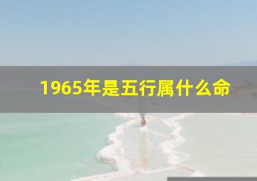 1965年是五行属什么命