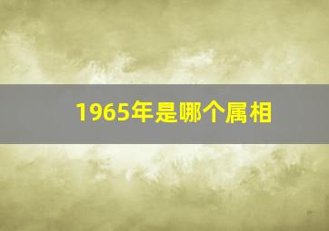 1965年是哪个属相