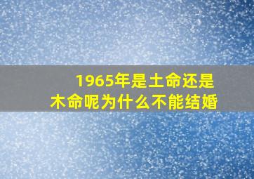 1965年是土命还是木命呢为什么不能结婚