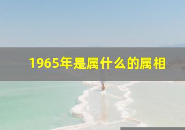 1965年是属什么的属相