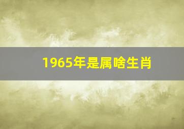 1965年是属啥生肖