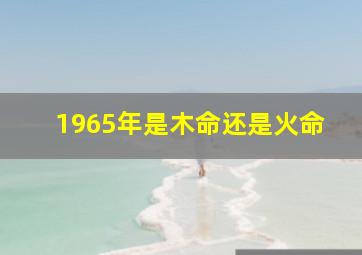 1965年是木命还是火命