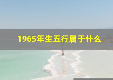 1965年生五行属于什么