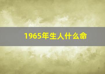 1965年生人什么命