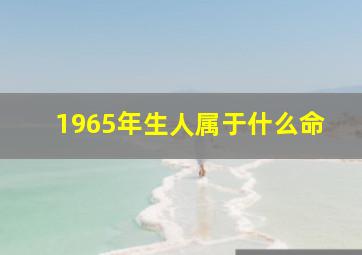 1965年生人属于什么命