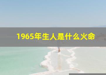 1965年生人是什么火命