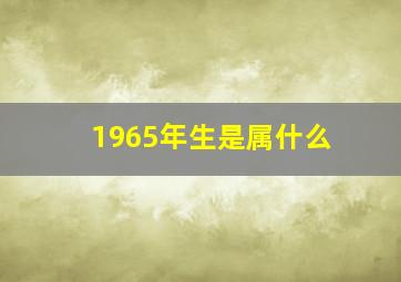 1965年生是属什么