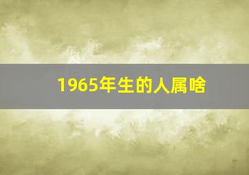 1965年生的人属啥