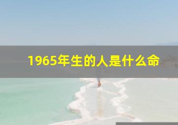 1965年生的人是什么命