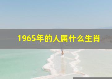 1965年的人属什么生肖