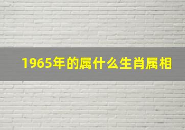 1965年的属什么生肖属相