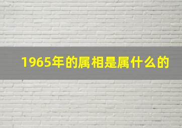 1965年的属相是属什么的