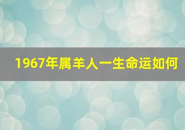 1967年属羊人一生命运如何