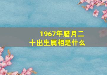 1967年腊月二十出生属相是什么