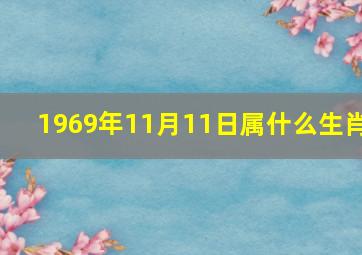 1969年11月11日属什么生肖