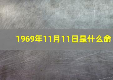 1969年11月11日是什么命