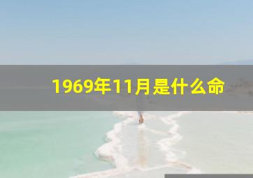 1969年11月是什么命