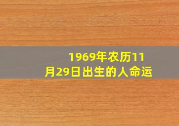 1969年农历11月29日出生的人命运