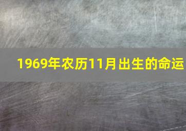 1969年农历11月出生的命运