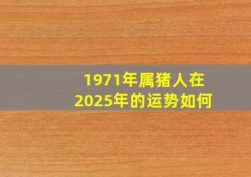 1971年属猪人在2025年的运势如何