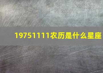 19751111农历是什么星座