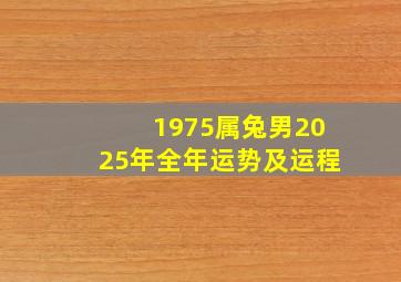 1975属兔男2025年全年运势及运程