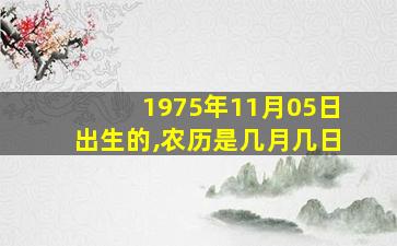 1975年11月05日出生的,农历是几月几日