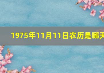 1975年11月11日农历是哪天