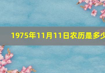 1975年11月11日农历是多少