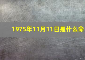 1975年11月11日是什么命