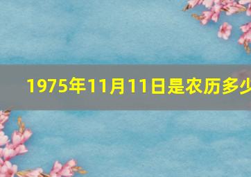 1975年11月11日是农历多少