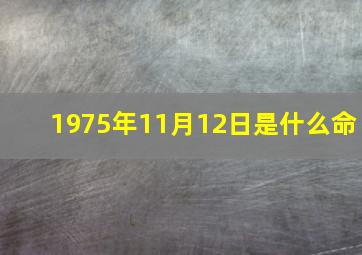 1975年11月12日是什么命