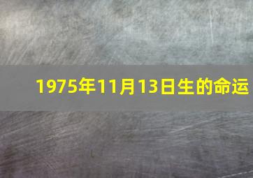 1975年11月13日生的命运