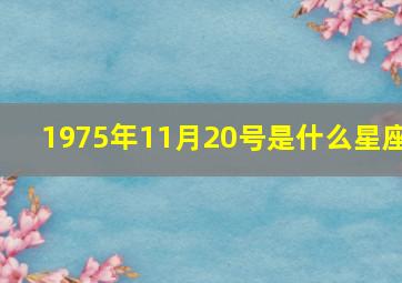 1975年11月20号是什么星座