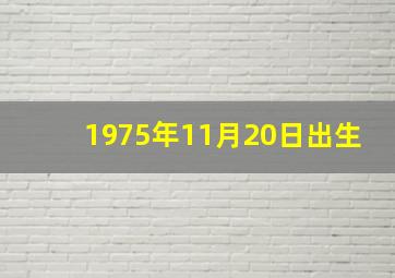 1975年11月20日出生