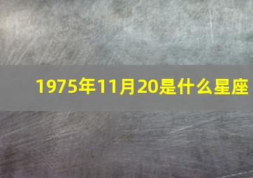 1975年11月20是什么星座