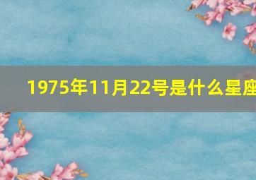 1975年11月22号是什么星座