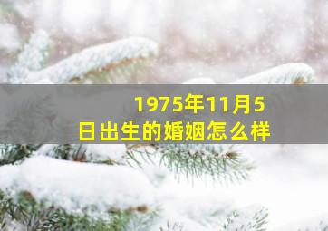 1975年11月5日出生的婚姻怎么样