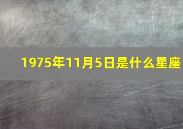 1975年11月5日是什么星座