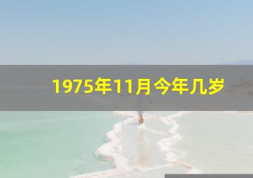 1975年11月今年几岁