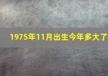 1975年11月出生今年多大了